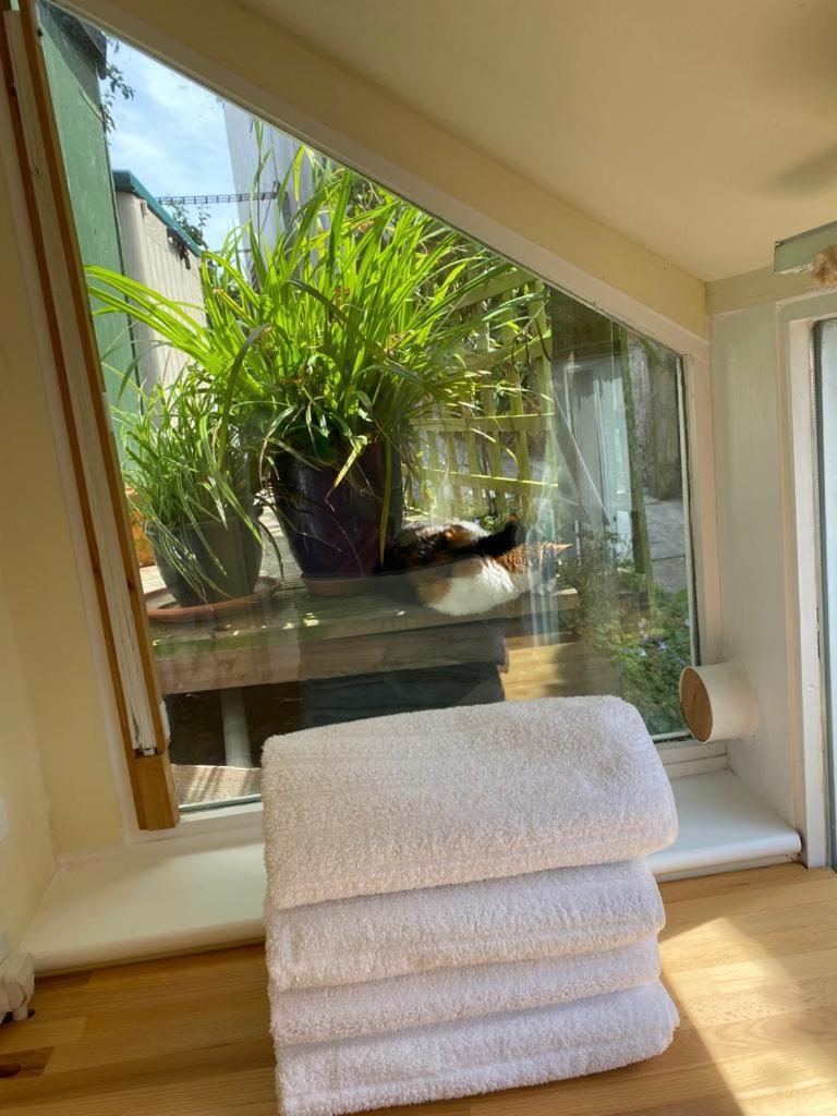 Lyme Clifftop Hideaway Lyme Regis Eksteriør bilde